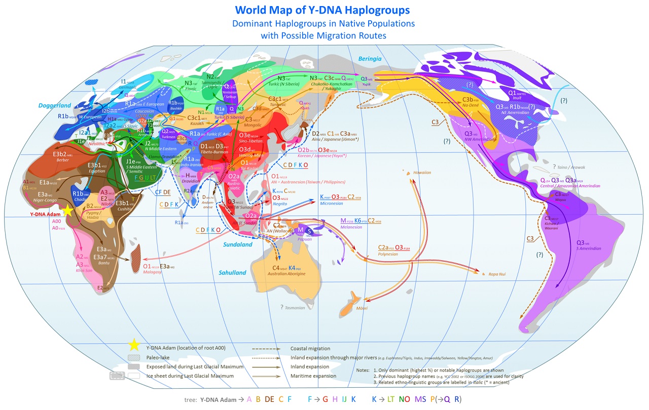 world_map_of_y-dna_haplogroups