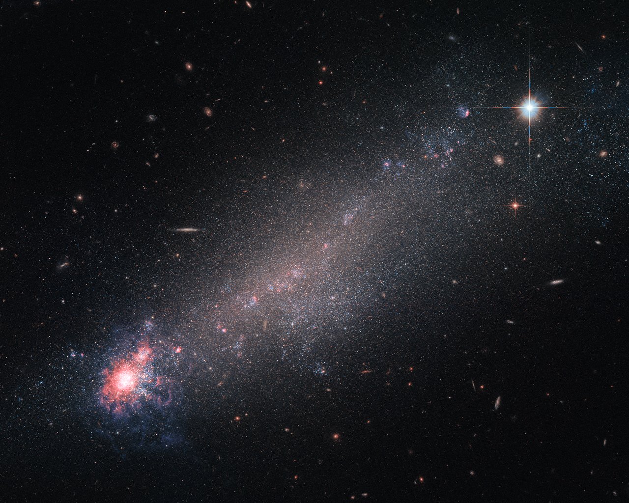 The lesser-known constellation of Canes Venatici (The Hunting Dogs), is home to a variety of deep-sky objects — including this beautiful galaxy, known as NGC 4861. Astronomers are still debating on how to classify it: While its physical properties — such as mass, size and rotational velocity — indicate it to be a spiral galaxy, its appearance looks more like a comet with its dense, luminous “head” and dimmer “tail” trailing behind. Features more fitting with a dwarf irregular galaxy. Although small and messy, galaxies like NGC 4861 provide astronomers with interesting opportunities for study. Small galaxies have lower gravitational potentials, which simply means that it takes less energy to move stuff about inside them than it does in other galaxies. As a result, moving in, around, and through such a tiny galaxy is quite easy to do, making them far more likely to be suffused with streams and outflows of speedy charged particles known as galactic winds, which can flood such galaxies with little effort. These galactic winds can be powered by the ongoing process of star formation, which involves huge amounts of energy. New stars are springing into life within the bright, colourful ‘head’ of NGC 4861 and ejecting streams of high-speed particles as they do so, which flood outwards to join the wider galactic wind. While NGC 4861 would be a perfect candidate to study such winds, recent studies did not find any galactic winds in it.