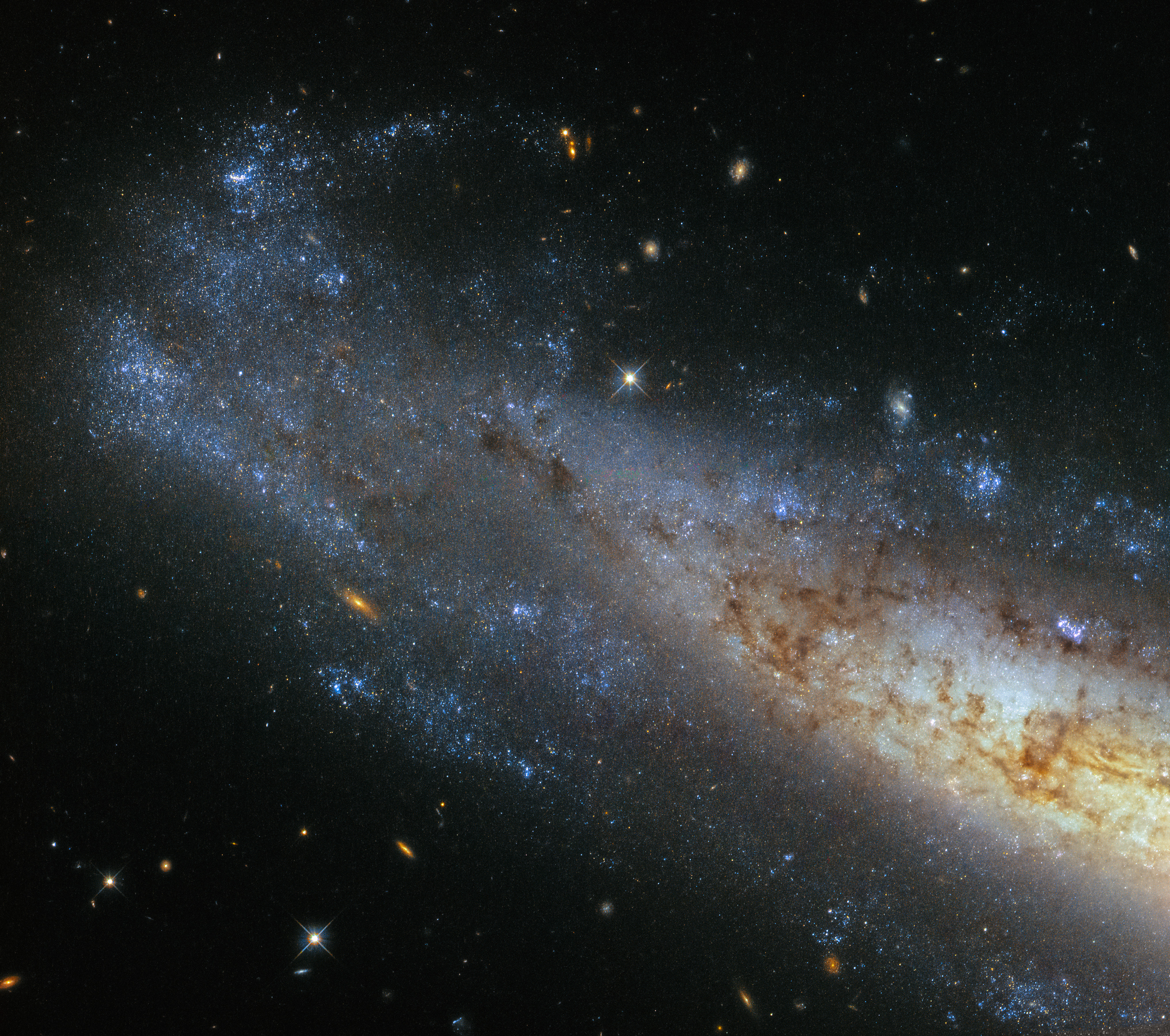 This image from Hubble’s Wide Field Camera 3 (WFC3) shows NGC 1448, a spiral galaxy located about 50 million light-years from Earth in the little-known constellation of Horologium (The Pendulum Clock). We tend to think of spiral galaxies as massive and roughly circular celestial bodies, so this glittering oval does not immediately appear to fit the visual bill. What’s going on? Imagine a spiral galaxy as a circular frisbee spinning gently in space. When we see it face on, our observations reveal a spectacular amount of detail and structure — a great example from Hubble is the telescope’s view of Messier 51, otherwise known as the Whirlpool Galaxy. However, the NGC 1448 frisbee is very nearly edge-on with respect to Earth, giving it an appearance that is more oval than circular. The spiral arms, which curve out from NGC 1448’s dense core, can just about be seen. Although spiral galaxies might appear static with their picturesque shapes frozen in space, this is very far from the truth. The stars in these dramatic spiral configurations are constantly moving and spinning around the galaxy’s core, with those on the inside whirling around faster than those sitting further out. This makes the formation and continued existence of a spiral galaxy’s arms something of a cosmic puzzle, because the arms wrapped around the spinning core should become wound tighter and tighter as time goes on — but this is not what we see. This is known as the winding problem.
